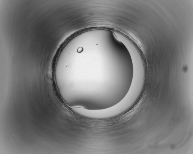X0000103130883200809191939