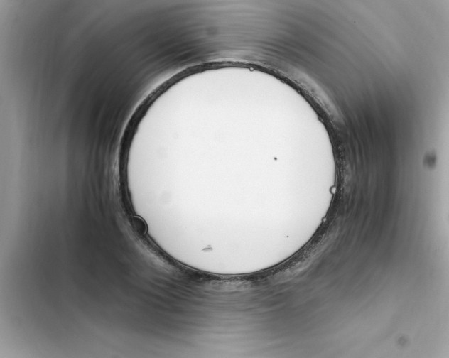 X0000103130884200809191939