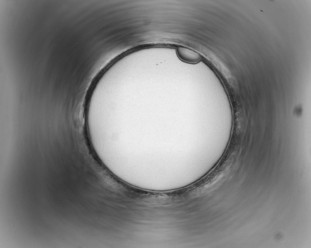 X0000103130885200809191939