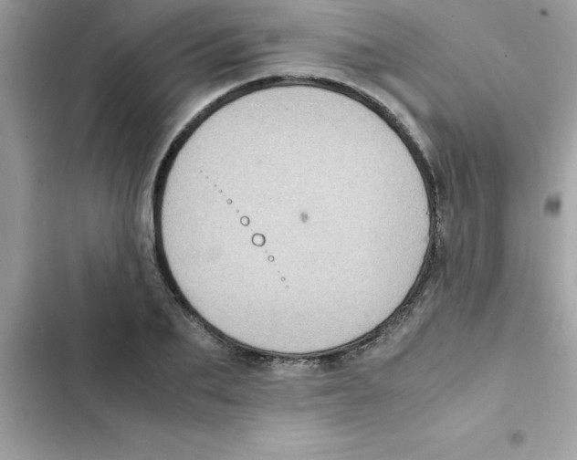 X0000103130887200809191939
