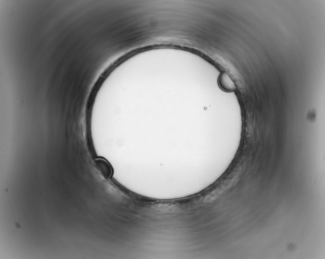 X0000103130888200809191939