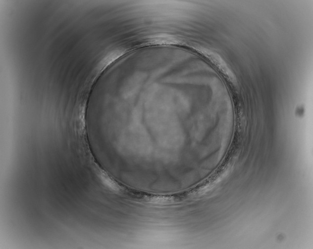 X0000103130889200809191939