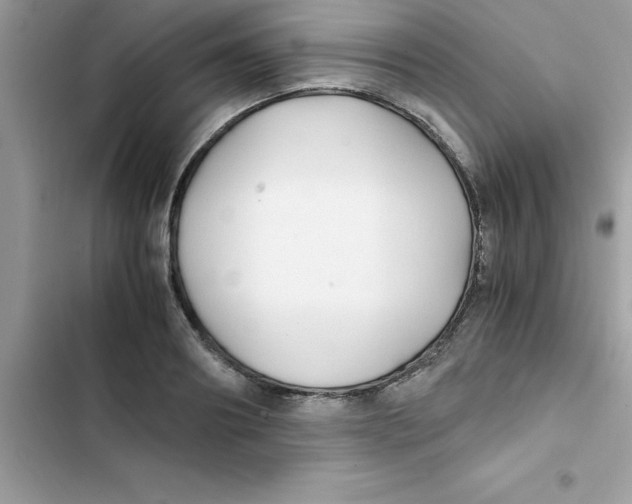 X0000103130890200809191939