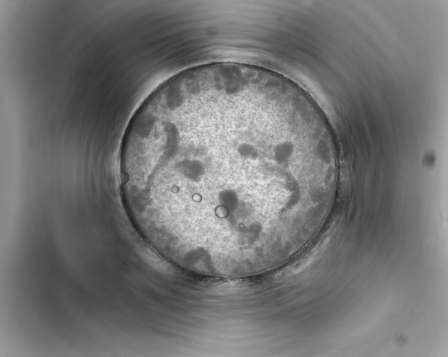 X0000103130891200809191939