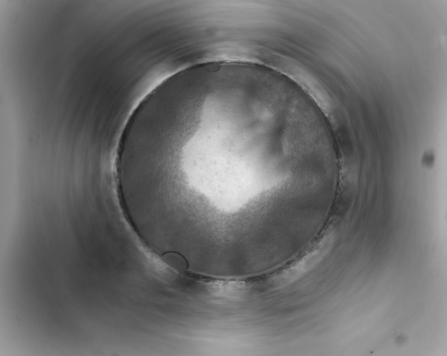 X0000103130893200809191939