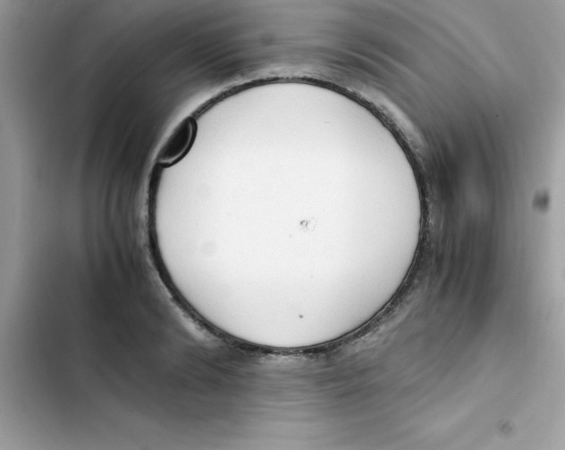 X0000103130894200809191939