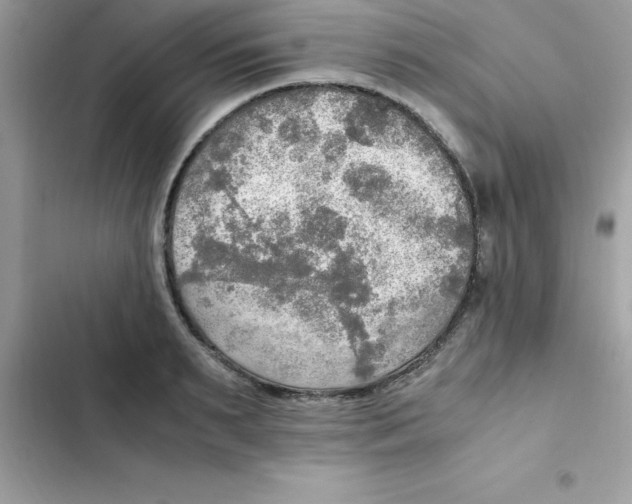 X0000103130895200809191939