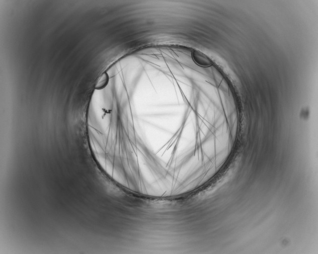 X0000103130897200809191939