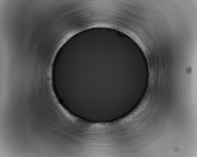 X0000103130898200809191939