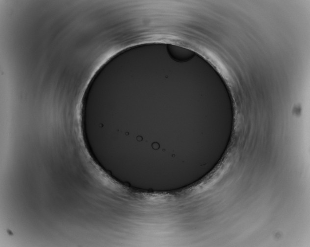X0000103130899200809191938
