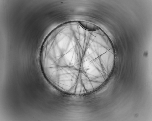X0000103130901200809191938