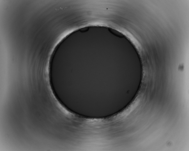 X0000103130902200809191938