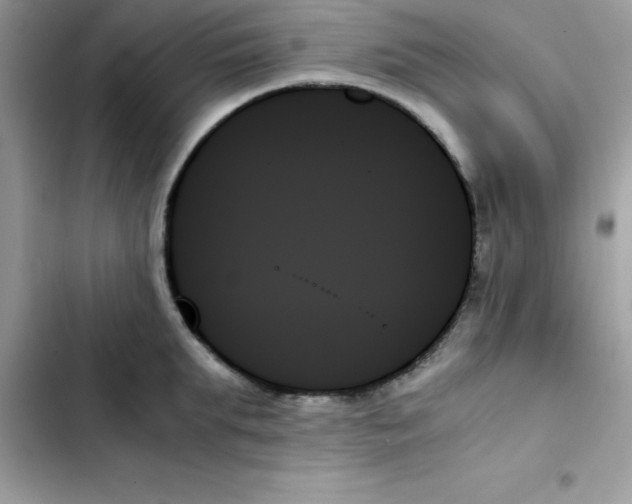 X0000103130903200809191938