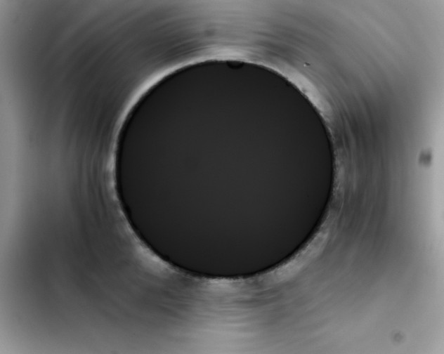 X0000103130904200809191938