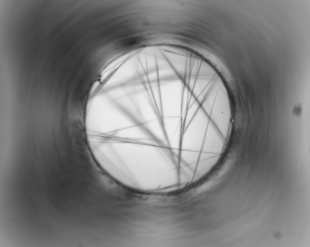 X0000103130905200809191938