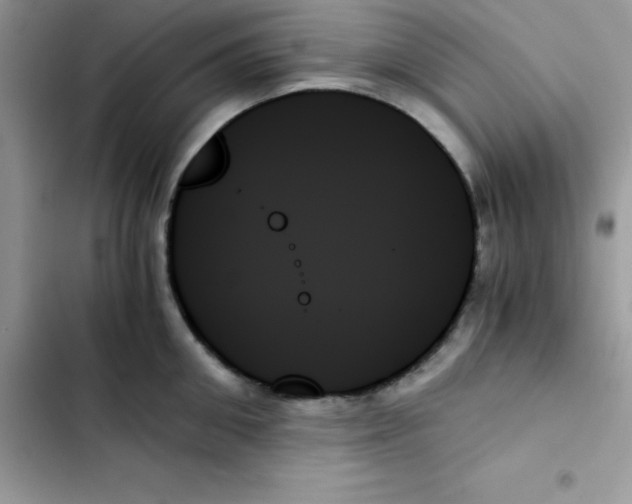 X0000103130906200809191938