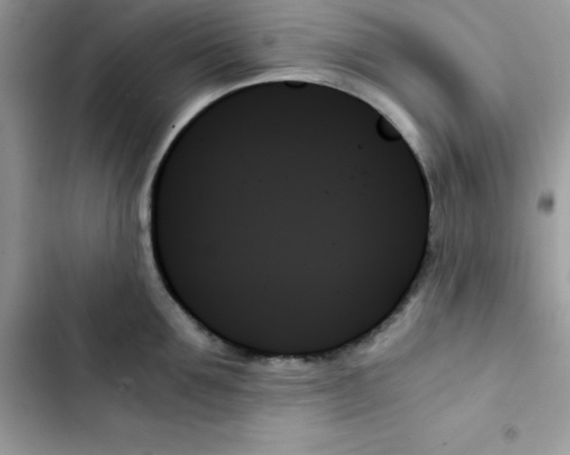 X0000103130907200809191938