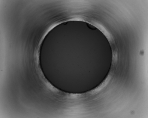 X0000103130908200809191938