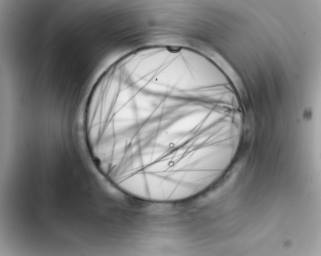 X0000103130909200809191938