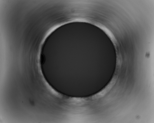 X0000103130910200809191938