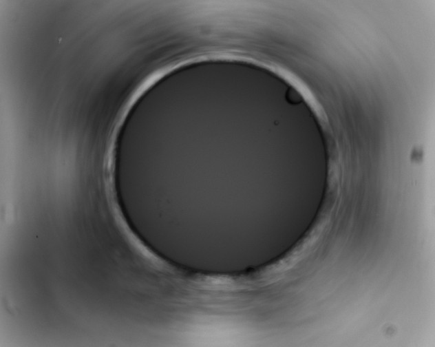 X0000103130911200809191938