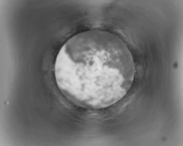 X0000103130913200809191937