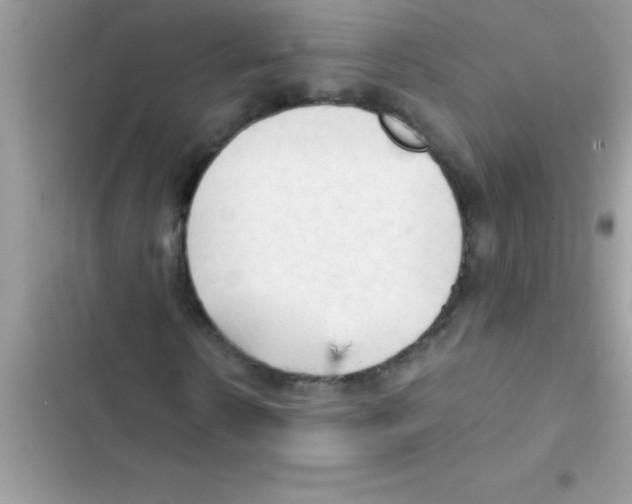 X0000103130914200809191937