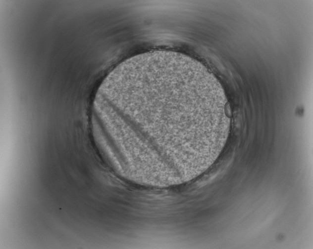 X0000103130916200809191937