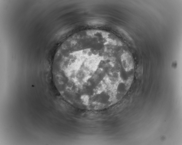 X0000103130917200809191937