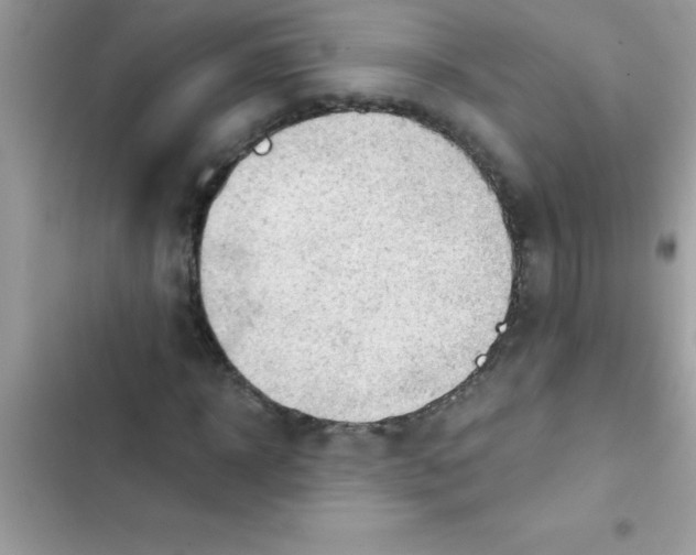 X0000103130918200809191937