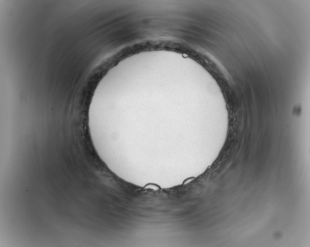 X0000103130919200809191937