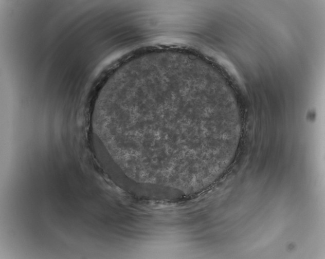 X0000103130920200809191937