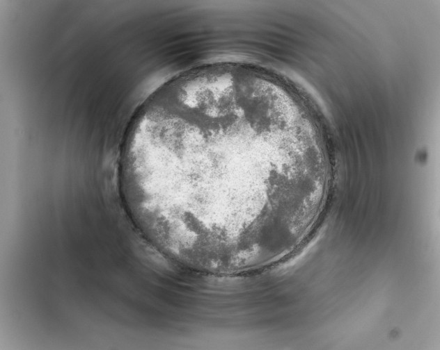 X0000103130921200809191937