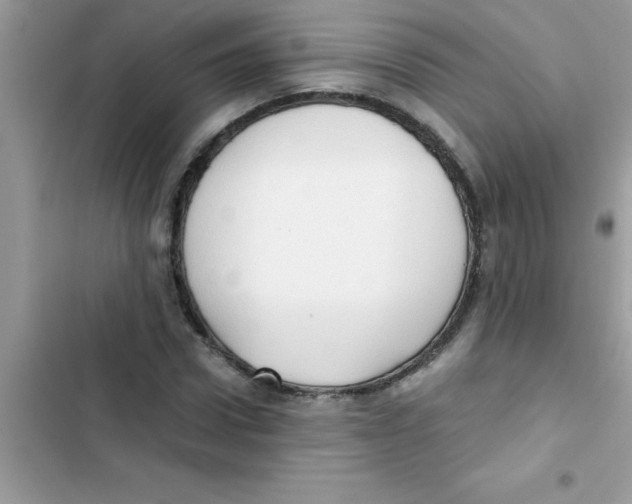 X0000103130922200809191937