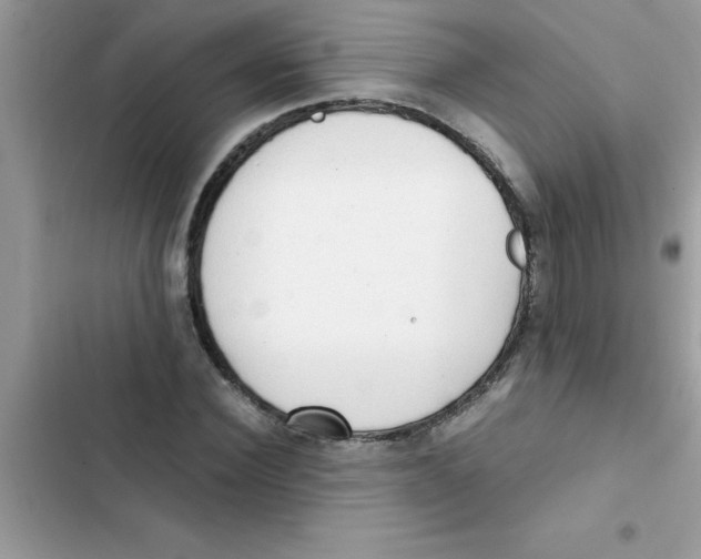 X0000103130924200809191937