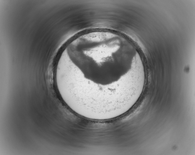 X0000103130925200809191937