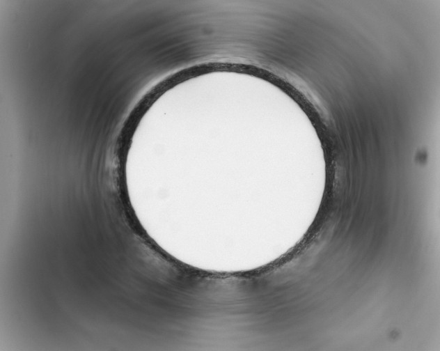 X0000103130926200809191937