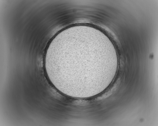X0000103130929200809191938