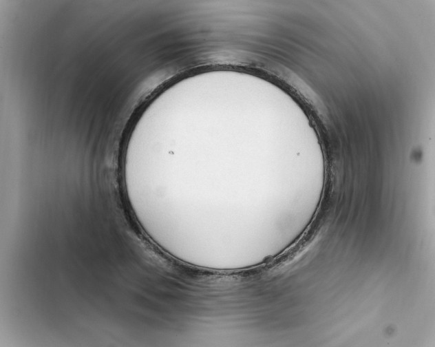 X0000103130930200809191938