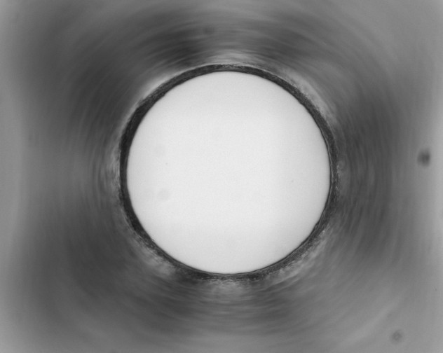 X0000103130931200809191938