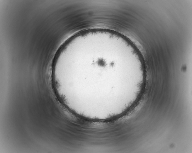 X0000103130933200809191938