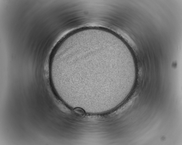 X0000103130934200809191938