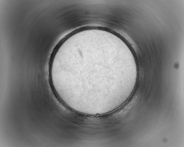 X0000103130935200809191938