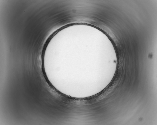 X0000103130936200809191938