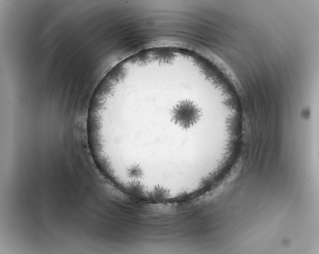 X0000103130937200809191938