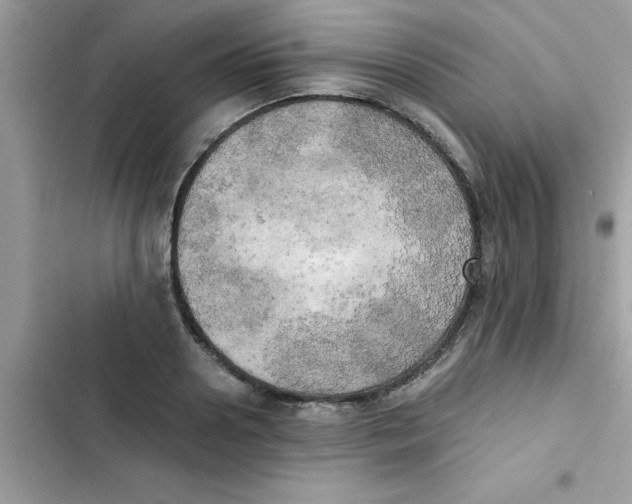 X0000103130938200809191938