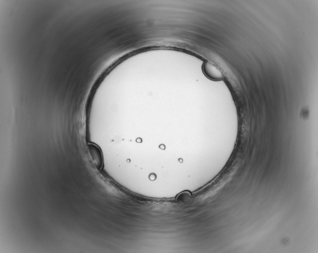 X0000103130940200809191938