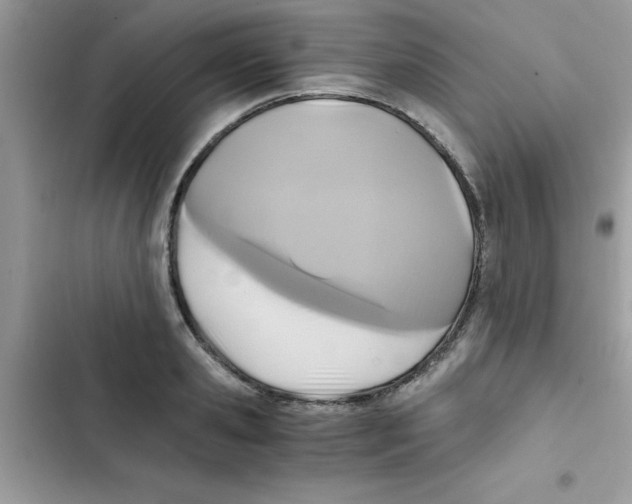 X0000103130941200809191938
