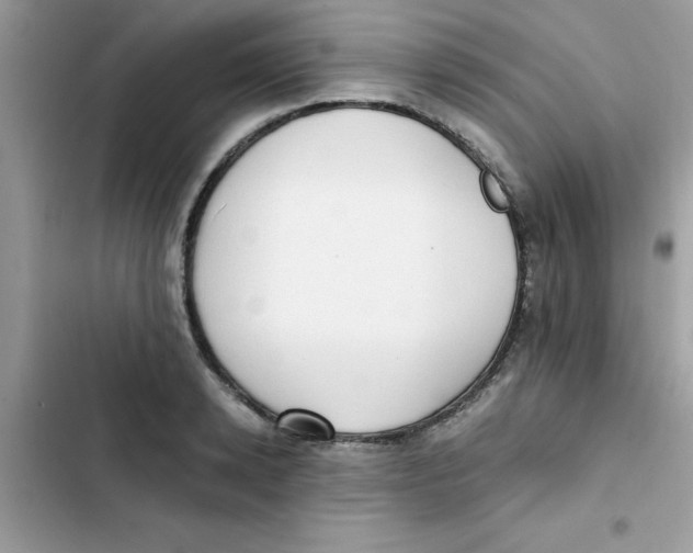 X0000103130942200809191938