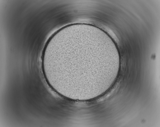 X0000103130944200809191938